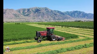 Mowing Irrigated Alfalfa near Tremonton Utah [upl. by Seiter]