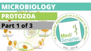 Protozoa  Microbiology  USMLE STEP 1  Part 1 of 3 [upl. by Ednarb850]