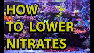 How To Lower Nitrates In A Reef Tank [upl. by Avlis]