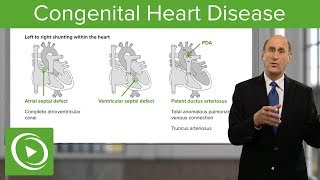 Clinical Anatomy  Cardiac Coronary Vessels left and right coronary artery venous sinus [upl. by Allenod622]