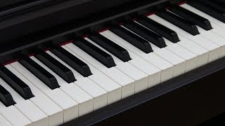 Blind Test Digital Piano Comparison Yamaha vs Casio vs Roland [upl. by Jaclin]