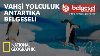 Vahşi Yolculuk Antarktika Belgeseli  Türkçe Dublaj [upl. by Kronick19]