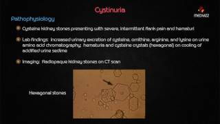 Cystinuria  Usmle step 1 Biochemstry webinar based lecture [upl. by Einitsed]