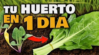 Haz tu HUERTO en Casa SIN COMPRAR SEMILLAS PLANTAS EN SOLO 1 DÍA  Huerto Urbano con POCO ESPACIO [upl. by Atteyek]