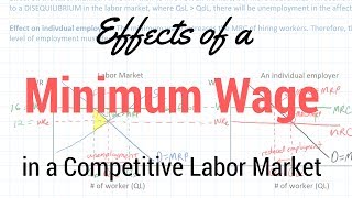 Minimum Wages in Competitive Labor Markets [upl. by Petes601]