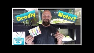 The Silent Killer  Nitrates in Your Fish Tank  What to Do About Them [upl. by Porcia648]