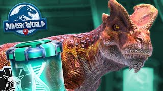 THE BEST TEAM IN THE GAME  Jurassic World Alive  Ep39  Jurassic GO [upl. by Adnohral462]