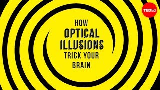 How optical illusions trick your brain  Nathan S Jacobs [upl. by Enajiram692]