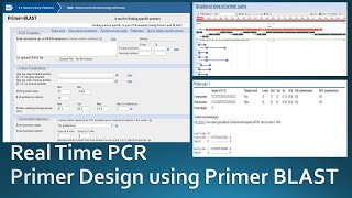 Primer designing for real time PCR using NCBI Primer Blast [upl. by Ainoek]