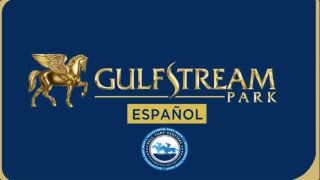 Gulfstream Park Live Stream [upl. by Nesnaj521]