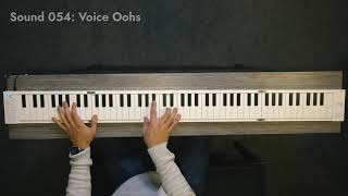 Carryon folding Piano  FP88  Playing Demonstration [upl. by Mayeda]