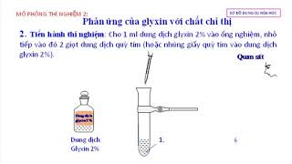 TN glyxin quỳ tím [upl. by Alcina]