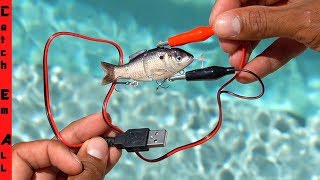 ELECTRIC FISHING LURE uses CHARGED ELECTRICITY to CATCH FISH [upl. by Alcinia4]