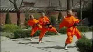 Shaolin Monks Training [upl. by Hniv]