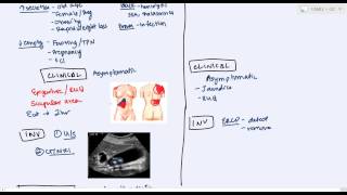 Key Biliary Tract  Cholestatic Diseases amp Labs Explained [upl. by Joice852]