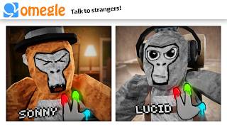 OMEGLE Trolling in Gorilla Tag [upl. by Oeniri]