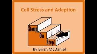 Hyperplasia Hypertrophy Metaplasia amp Atrophy USMLE [upl. by Adnilre]