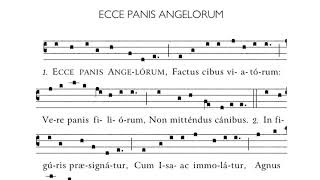 Ecce Panis Angelorum  Sequence Hymn for Corpus Christi [upl. by Flaherty]