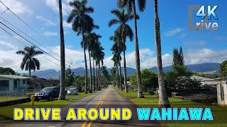 WAHIAWA Neighborhood  Drive Around Wahiawa  Oahu 🌴 Hawaii 4K Driving [upl. by Enaitsirhc]