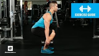 How to Dumbbell Squat  Mike Hildebrandt [upl. by Erdna]