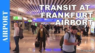 TRANSIT WALK AT FRANKFURT Airport FRA Terminal 1  Connection Flight Transfer Arriving amp Departing [upl. by Kassia177]