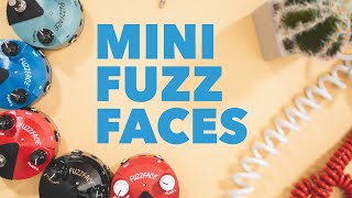 Why Dunlop Mini Fuzz Faces Are Awesome [upl. by Gustav4]