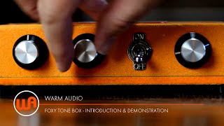 My favorite quottricksquot with EQ amp Fuzz Pedals [upl. by Sabina]