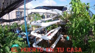 COMO HACER UN HUERTO GRANDE EN TUBO PVC [upl. by Alage]