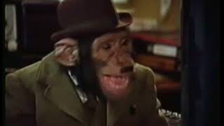 PG Tips Chimps Adverts Full collection [upl. by Airat]