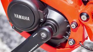 EPisode 150  Entretien Moteur Yamaha [upl. by Nolyag742]