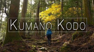 HIKING  The KUMANO KODO Trail Japan [upl. by Tiff]