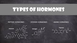 How to Control Your Metabolism by Thyroid amp Growth Hormone [upl. by Nnawtna]